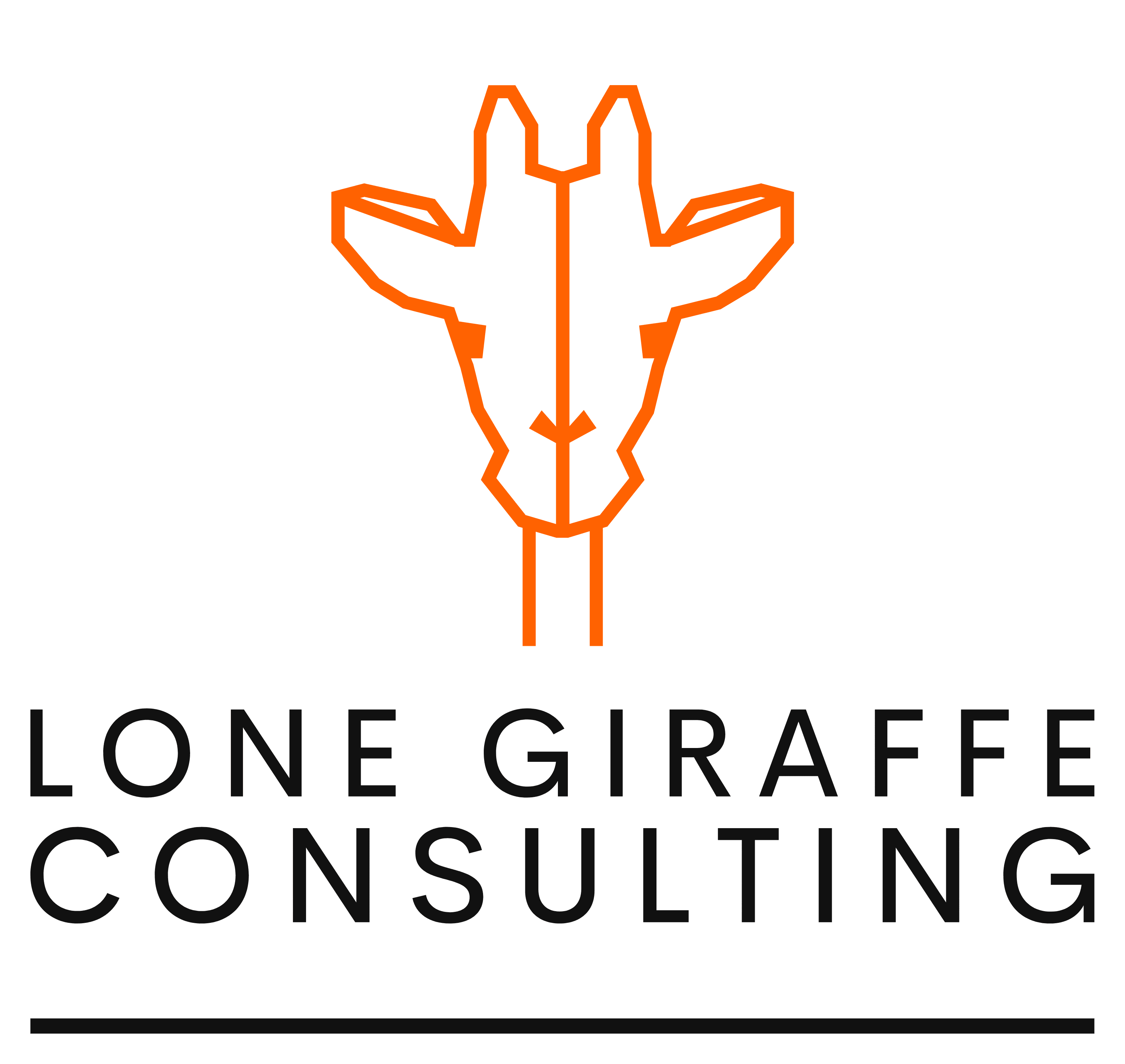 Lone Giraffe Consulting